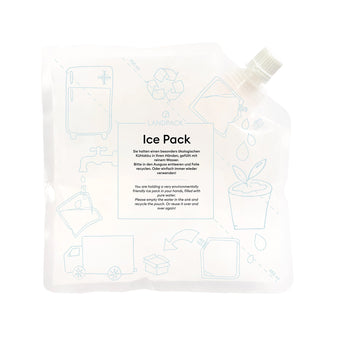 Landpack Ice Pack Kühlelement, 700 ml, 200 x 200 mm, Sicherheitsverschluss